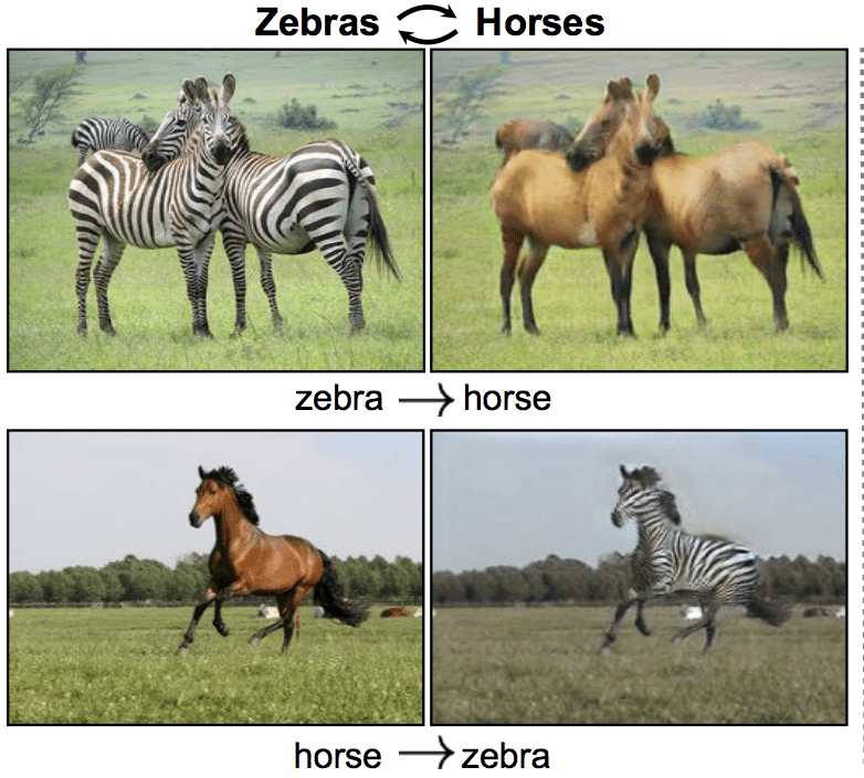 Styling-Zebras-and-Horses