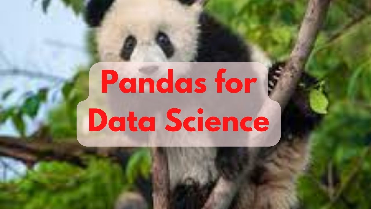 Pandas for Data Science