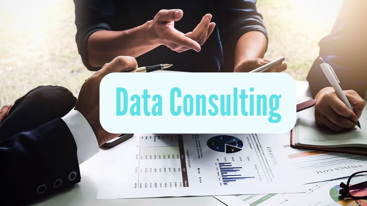Data Consulting