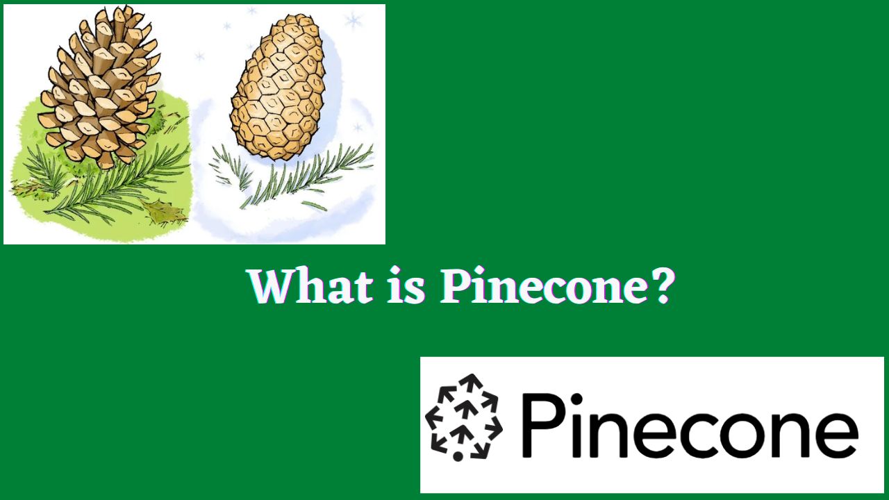 What is Pinecone