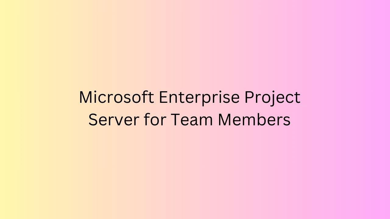 Microsoft Enterprise Project Server For Team Members