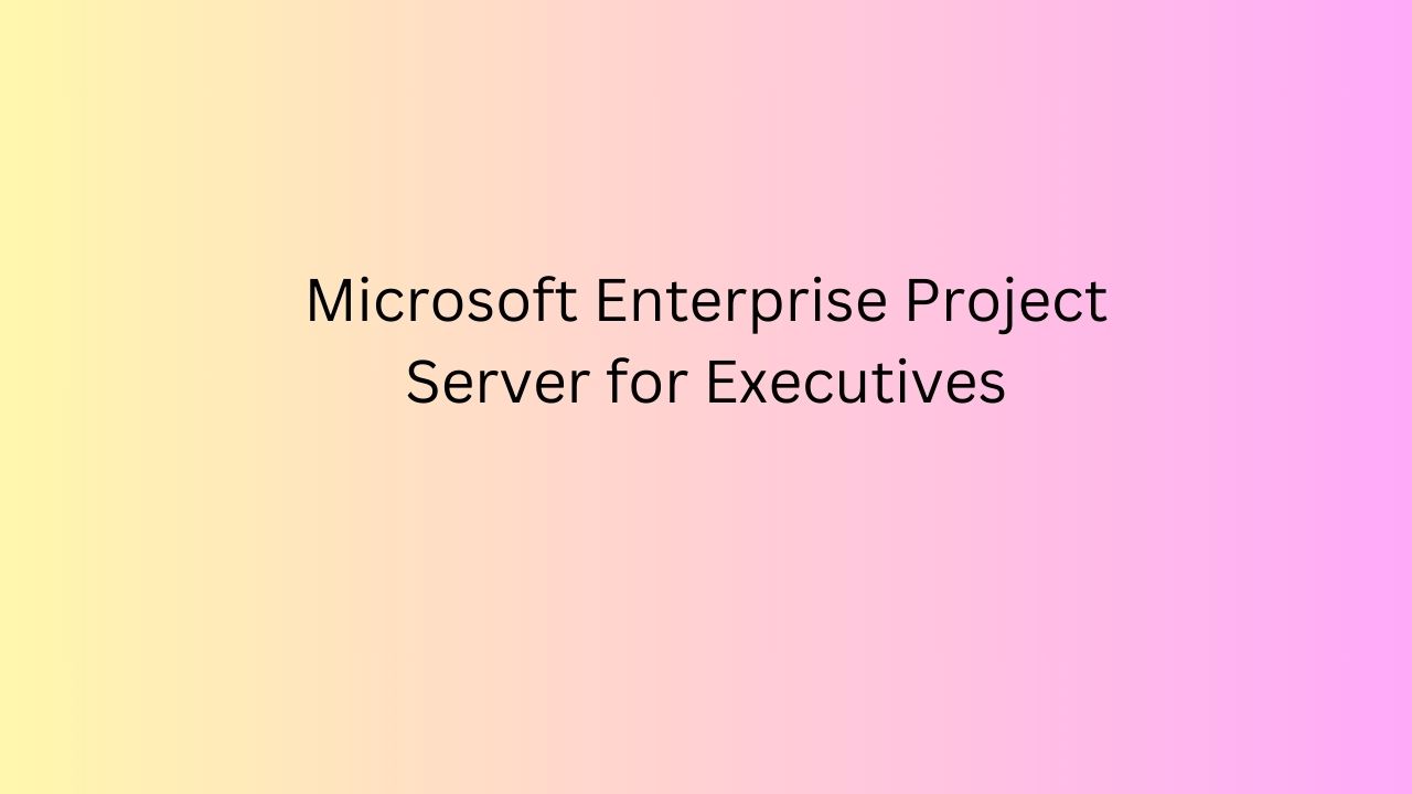 Microsoft Enterprise Project Server For Executives