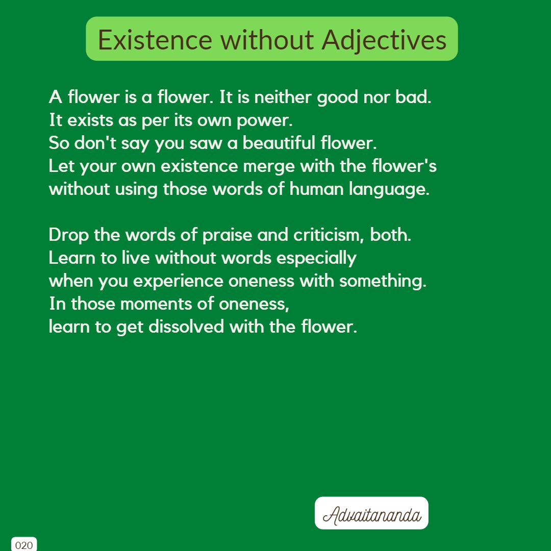 Existence without Adjectives