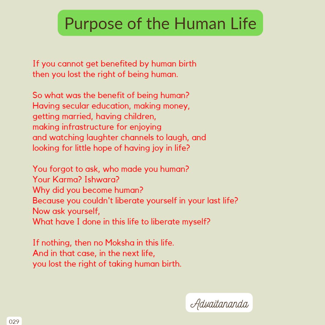 Purpose of the Human Life