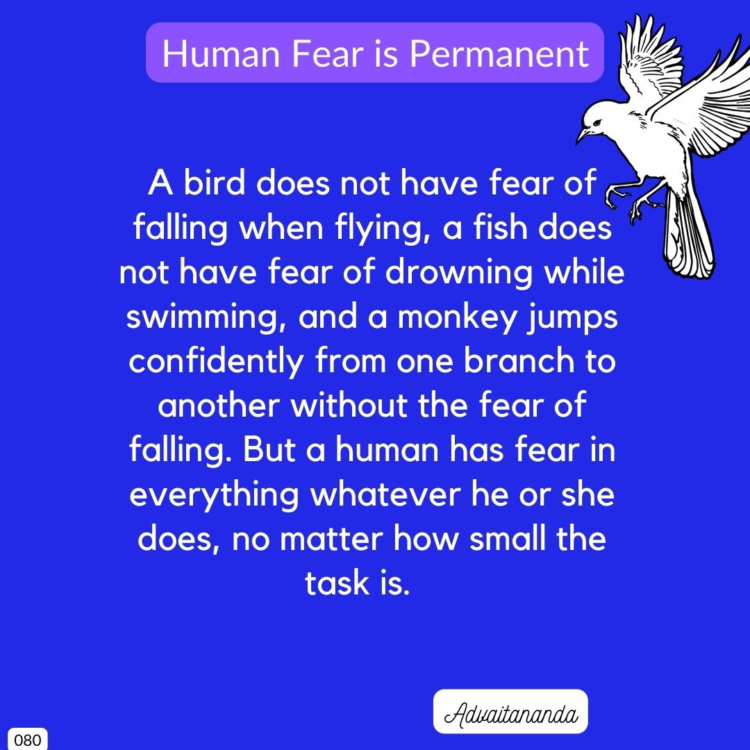 Human Fear is Permanent