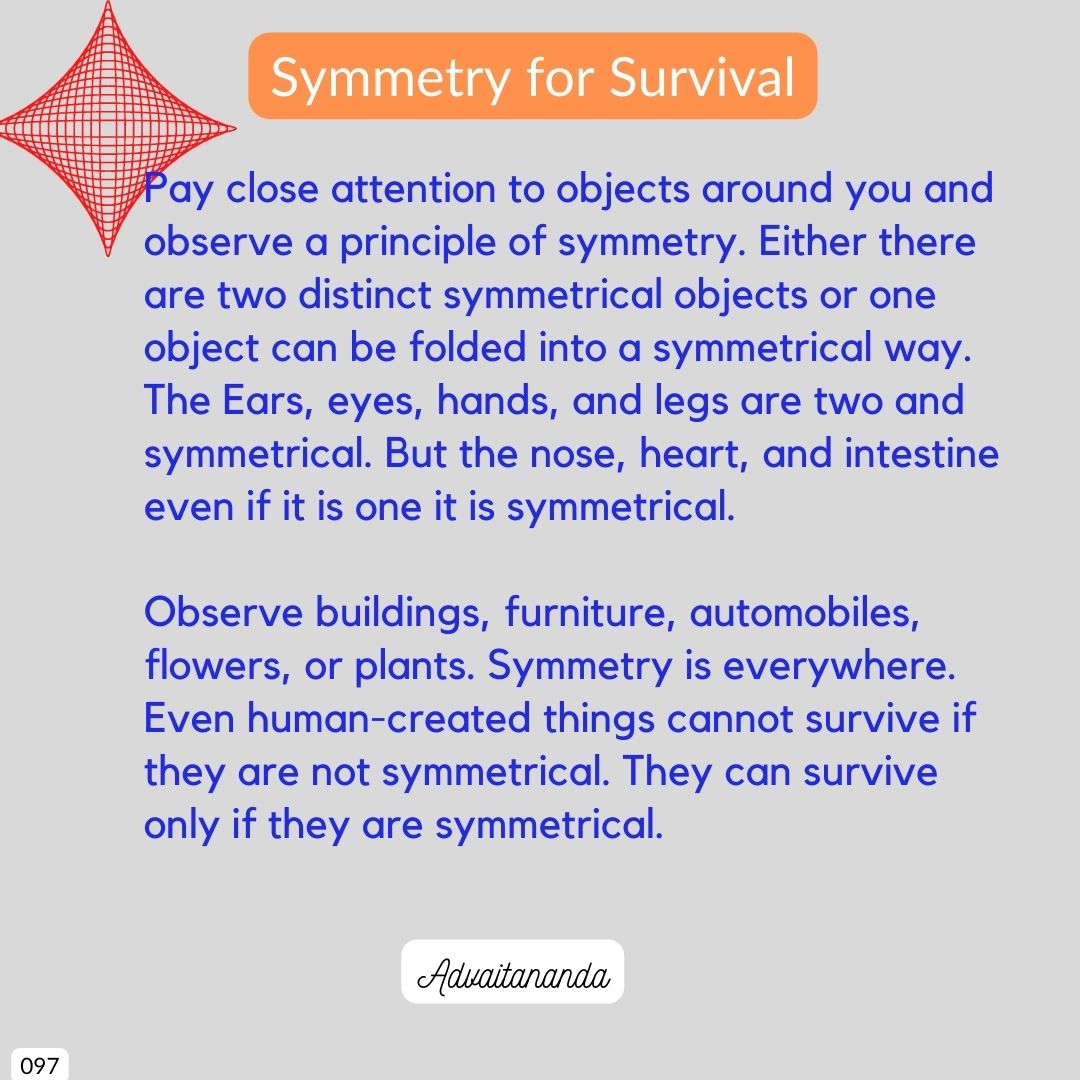 Symmetry for Survival