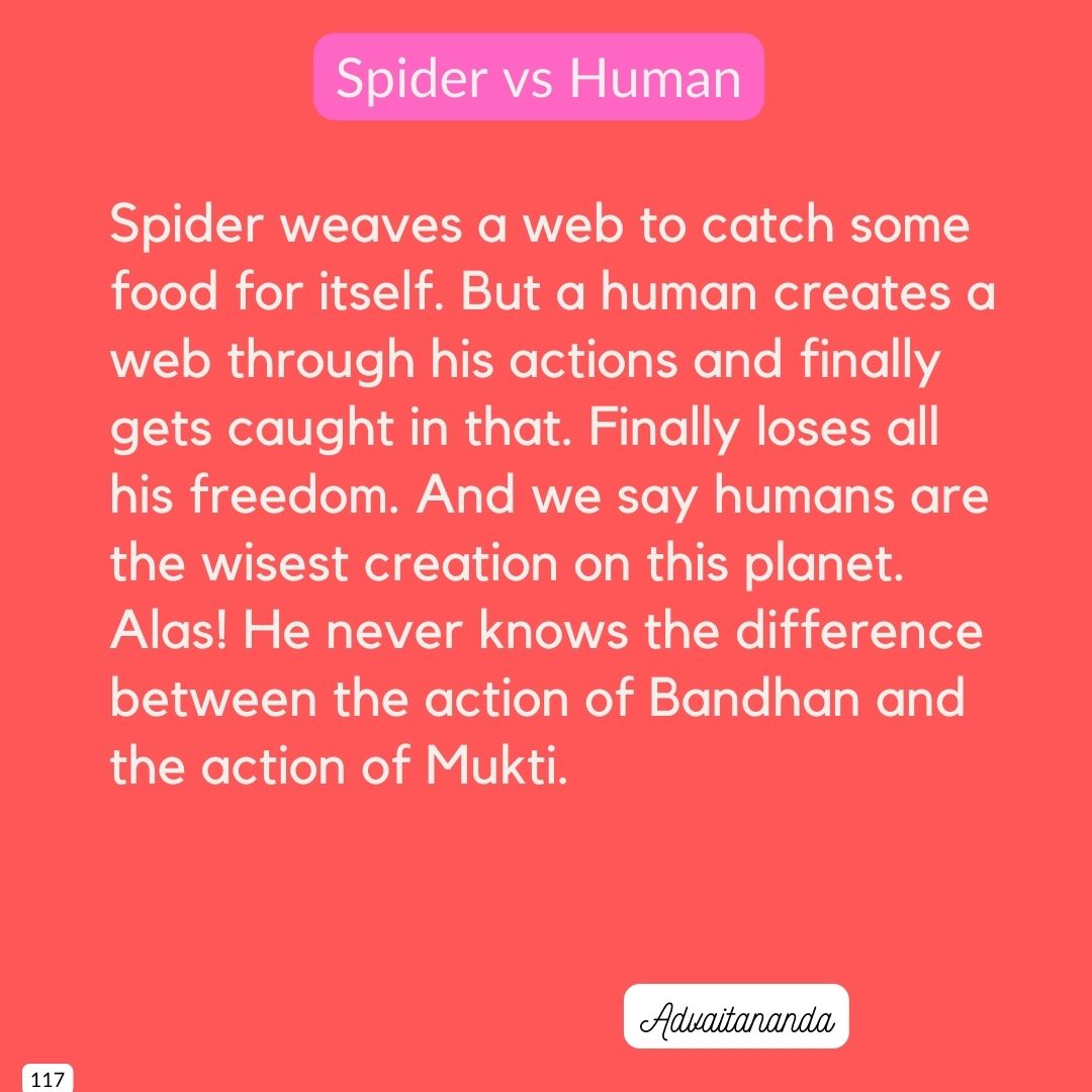 Wise Spider or Human