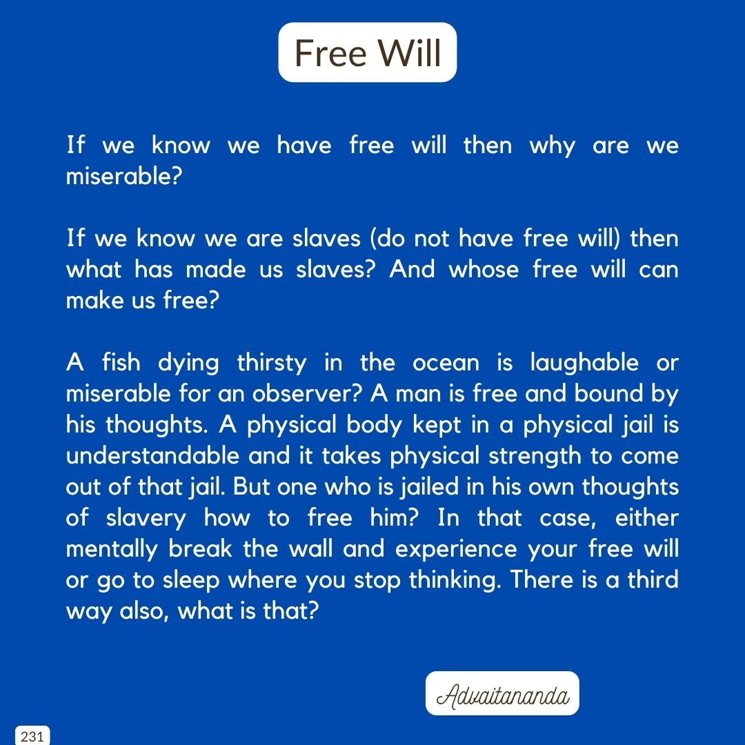 Free Will 2