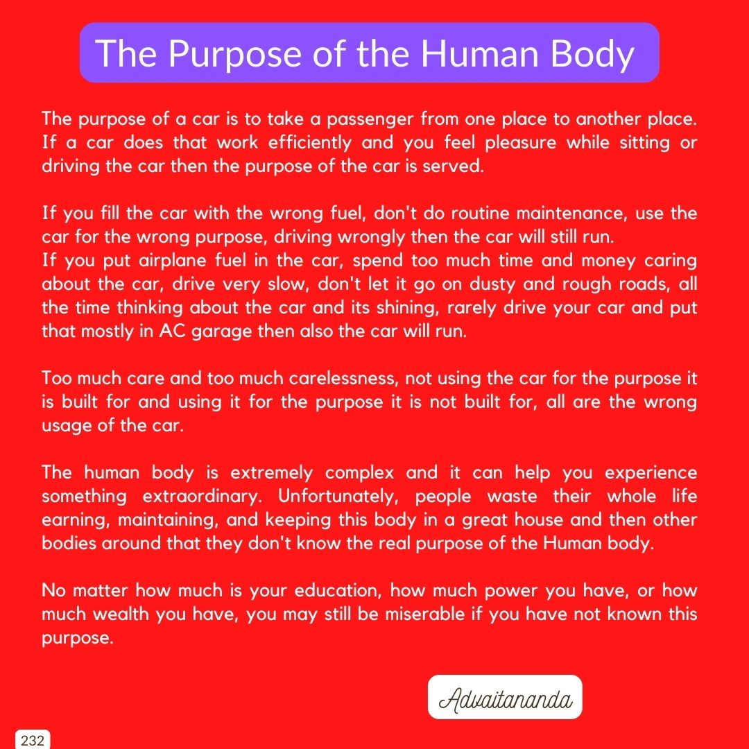 The Purpose of the Human Body
