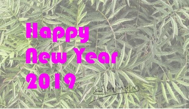 Greetings For New Year 2019