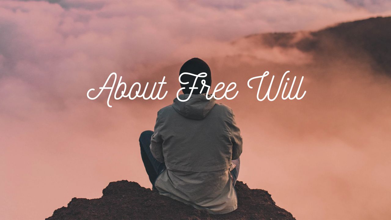 About Free Will