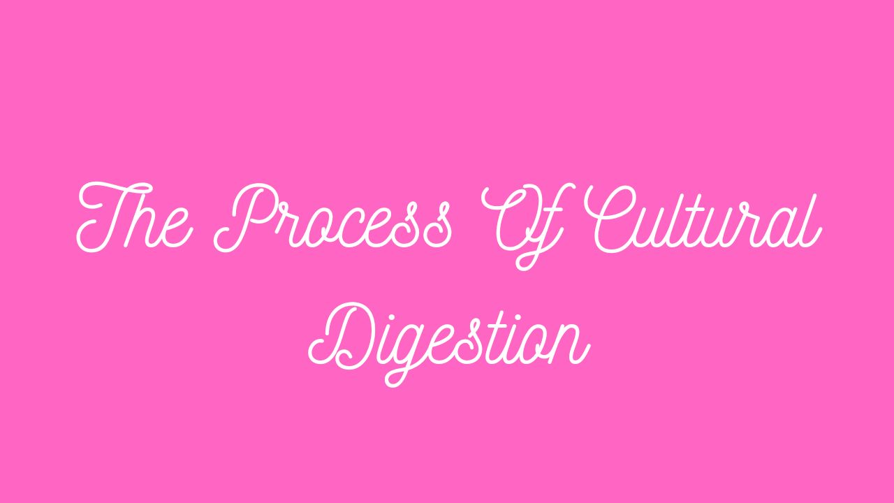 The Process Of Cultural Digestion