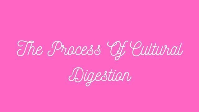 The Process Of Cultural Digestion