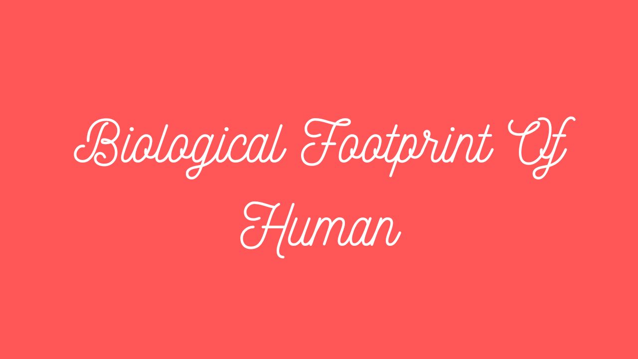 Biological Footprint of Human