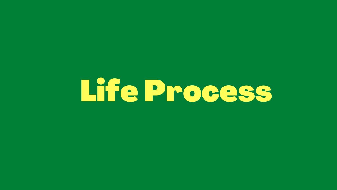 Life is a Process