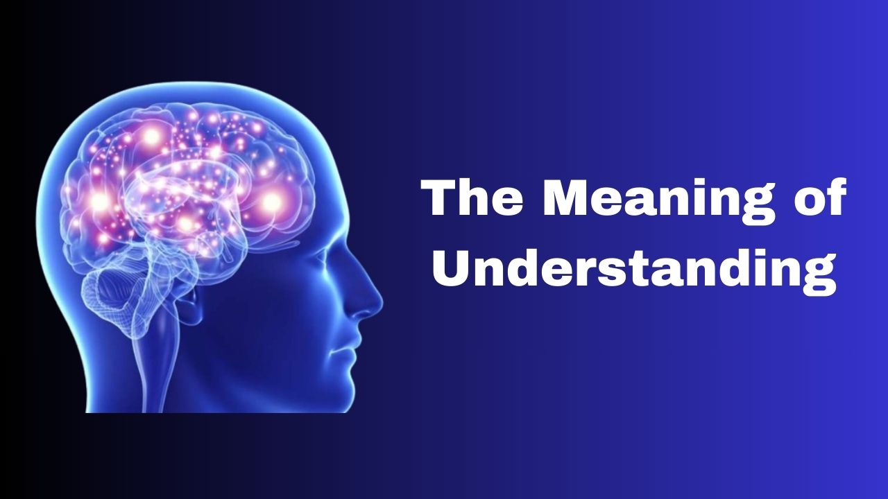 The Meaning of Understanding